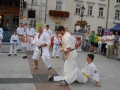 IMGP1684
