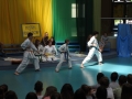 DSCN0519