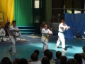 DSCN0528