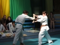 DSCN0547