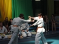 DSCN0548