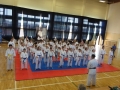 VIII Turniej Karate Kyokushin z Okazji Dnia Dziecka 16.06.2018